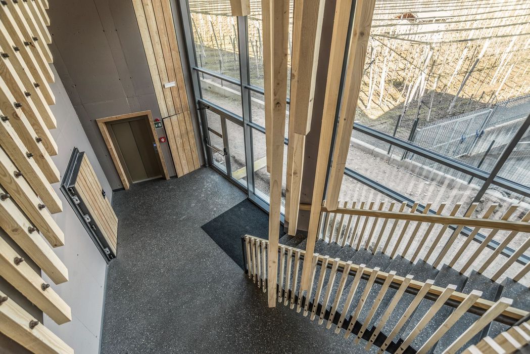 Ein Innenraum mit Treppenabgang, Betonwänden, einer Glastür und dekorativen vertikalen Holzelementen, die an der Wand befestigt sind.