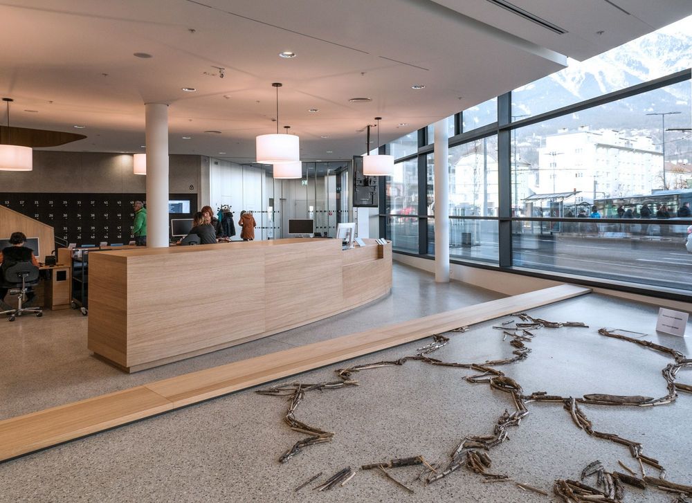 Ein heller, moderner Empfangsbereich mit einem geschwungenen Tresen aus hellem Holz und einer bodentiefen Glasfront mit Ausblick auf die Berge. Auf dem Boden im Vordergrund liegt eine künstlerische Bodeninstallation aus Treibholz.